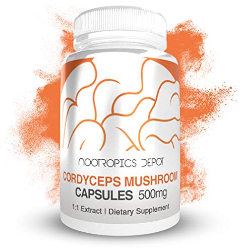 Version 1.0.0 Cápsulas Cordyceps Nootropics Depot suplemento salud