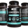 Cápsulas cordyceps puro suplemento salud 90 días