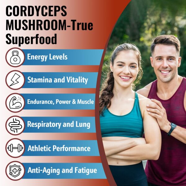 Cápsulas Cordyceps suplemento energía inmunidad natural 2