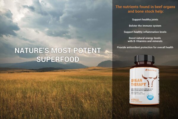 Cápsulas desecadas de órganos de res y caldo de huesos para nutrición