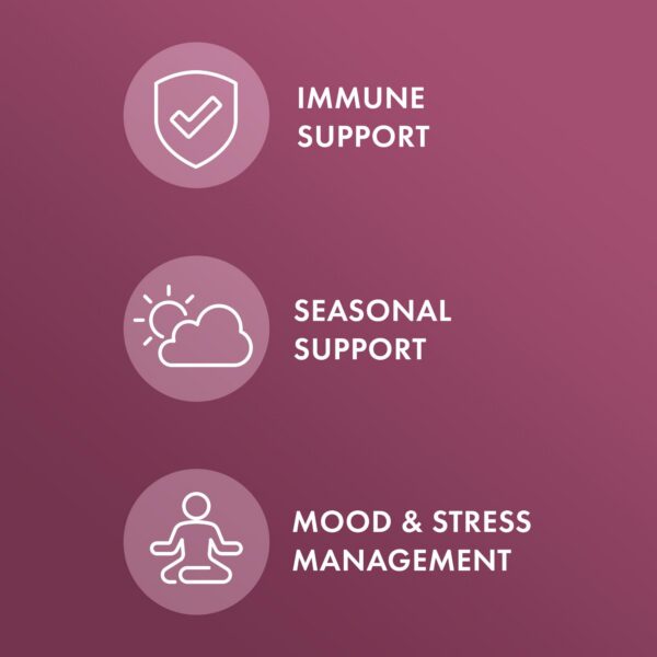 Cápsulas dietéticas de Echinacea orgánica Dr Mercola