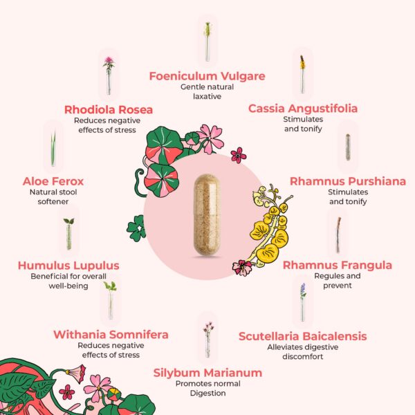 Cápsulas DigestLive para suavizar heces y mejorar digestión