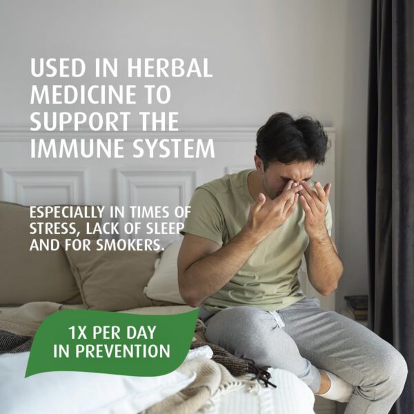 Cápsulas Echinaforce A.Vogel