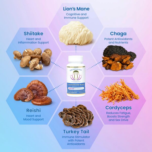 Version 1.0.0 Cápsulas ENCAPSULATE con extracto orgánico de 6 hongos medicinales