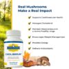 Cápsulas para energía y salud cardiovascular Simple Promise