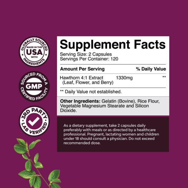 Cápsulas de espino extracto 4:1 para salud cardiovascular