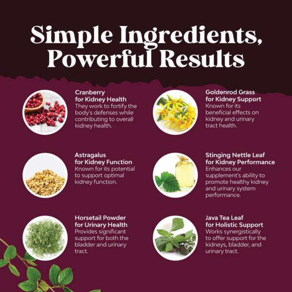 Cápsulas con extracto de arándano para salud renal y vejiga