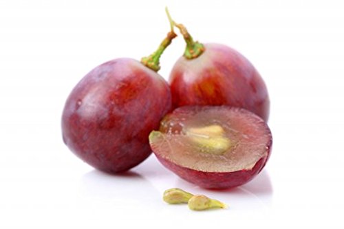 Cápsulas de extracto concentrado de semilla de uva roja