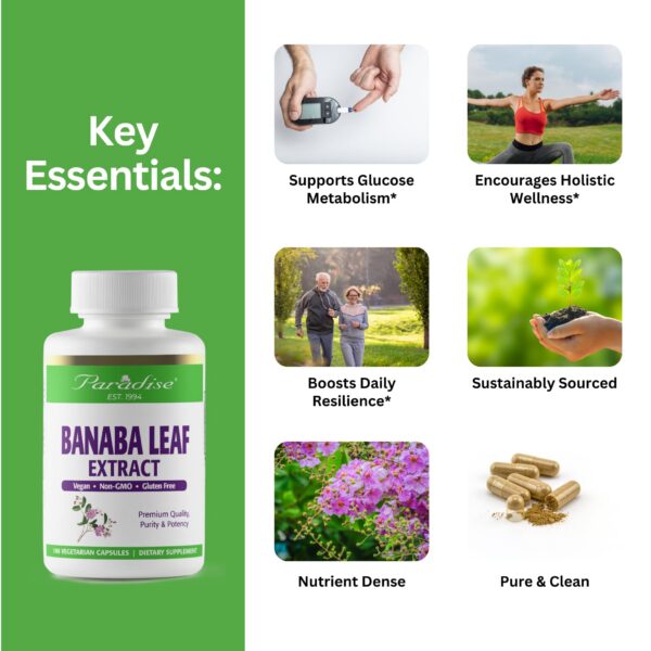 Cápsulas de Extracto de Hoja de Banaba Paradise Herbs