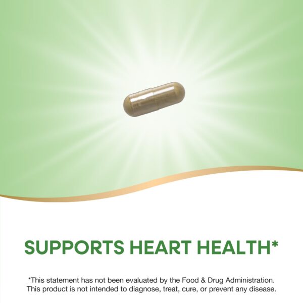 Cápsulas extracto hoja de olivo apoyo corazón Nature's Way