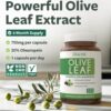 Version 1.0.0 Cápsulas extracto hoja de olivo Healths Harmony 750mg