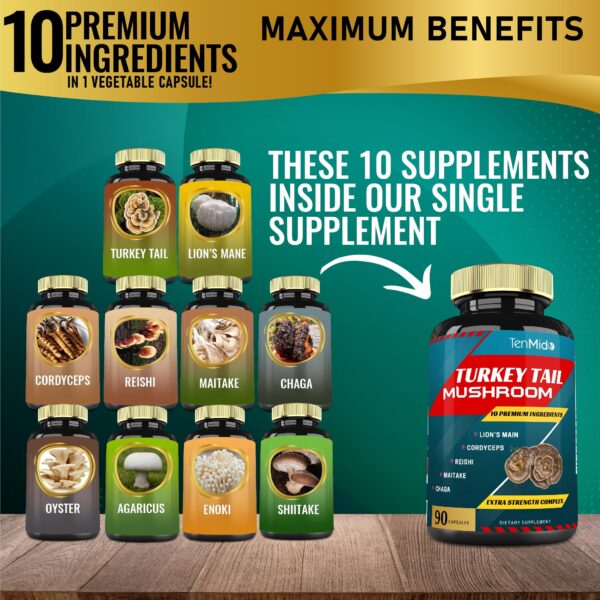 Version 1.0.0 Cápsulas de extracto de hongo Cola de Pavo y Melena de León