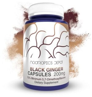 Version 1.0.0 Cápsulas extracto jengibre negro nootropics depot 60 unidades