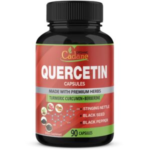 Version 1.0.0 Cápsulas extracto quercetina Cadane frasco 90 unidades