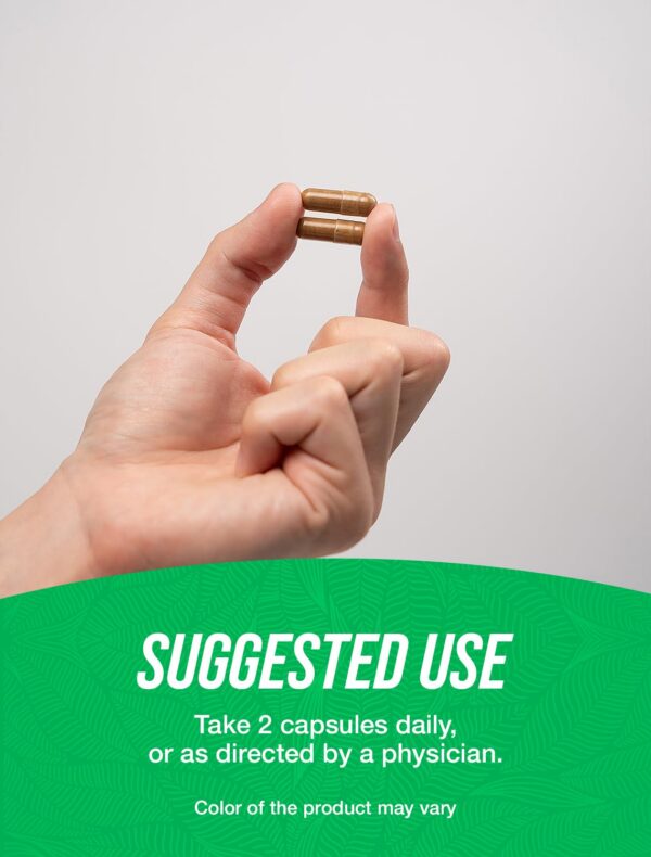 Version 1.0.0 Cápsulas extracto raíz malvavisco sobre fondo blanco BulkSupplements