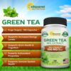 Cápsulas extracto de té verde con EGCG alto para antioxidantes y energía