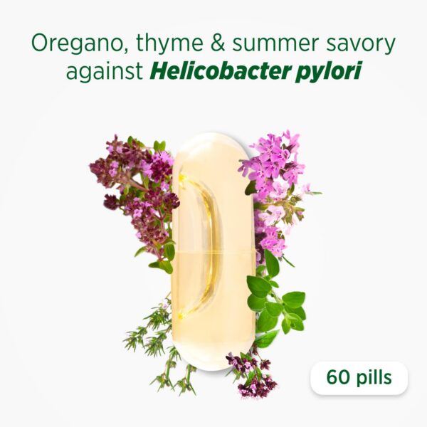 Version 1.0.0 Cápsulas fáciles de tragar para alivio digestivo eficiente