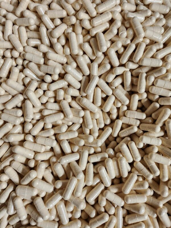 Cápsulas genéricas de melena de león 120 piezas