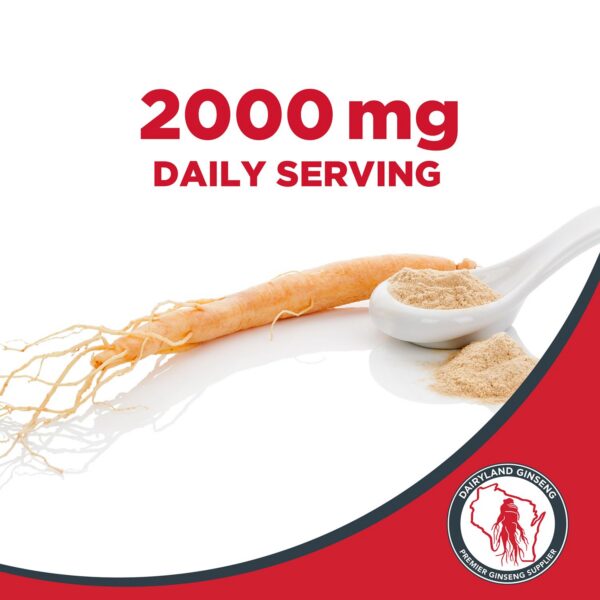 Version 1.0.0 Cápsulas premium de ginseng rojo Panax 500 mg Dairyland