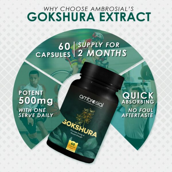 Version 1.0.0 Cápsulas Gokshura 500mg tribulus terrestis para salud natural
