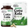 Cápsulas de Gotu Kola Wild & Organic para apoyo cerebral