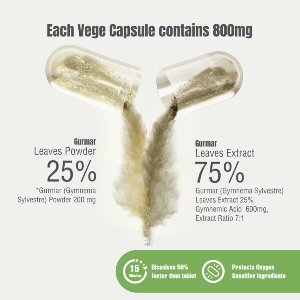 Version 1.0.0 Cápsulas gymnema sylvestre extracto 7:1 suplementación herbal