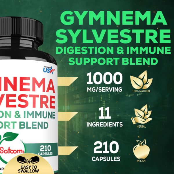 Cápsulas Gymnema Sylvestre Satoomi en mano