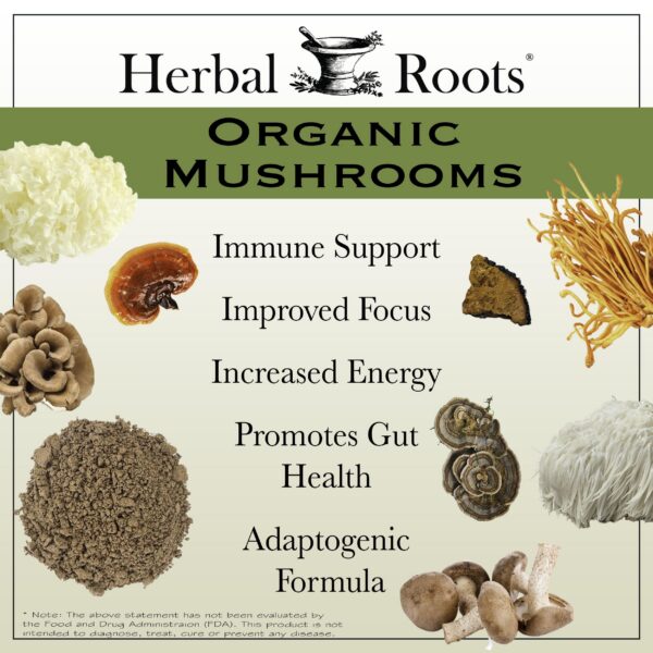 Cápsulas Herbal Roots mezcla hongos orgánicos para energía y salud