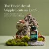 Cápsulas herbales Gaia Herbs mezcla de hongos respiratorios