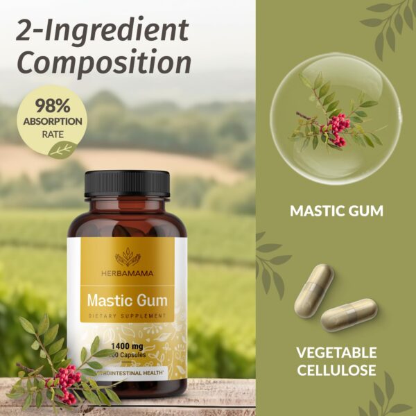 Cápsulas en mano HERBAMAMA goma mastic digestivo