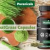 Cápsulas naturales de hierba de trigo Puranicals para salud