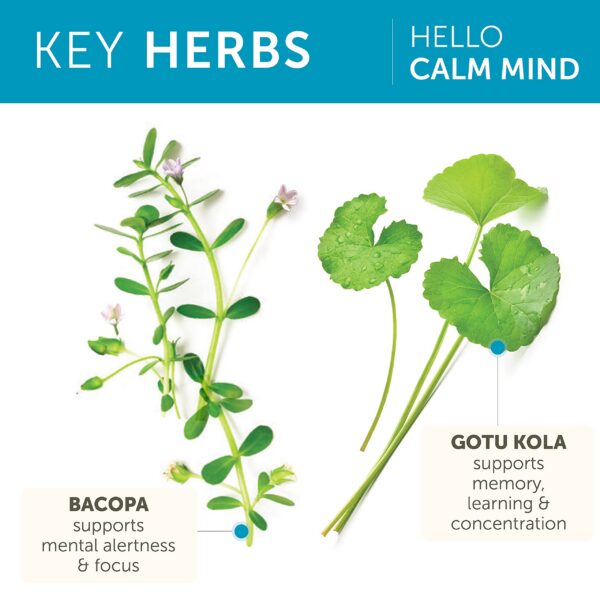 Cápsulas Himalaya para tranquilidad y claridad mental Calm Mind