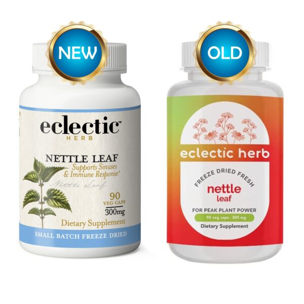 Version 1.0.0 Cápsulas hoja ortiga cruda importada natural