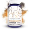 Frasco de cápsulas de hongo Chaga 500mg con 180 unidades