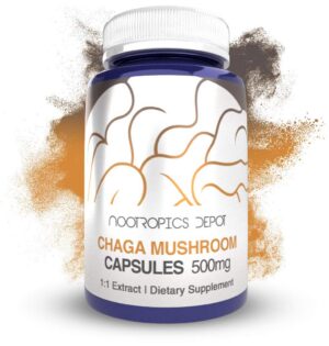 Frasco de cápsulas de hongo Chaga 500mg con 180 unidades