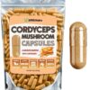 Cápsulas de hongo cordyceps XPRS Nutra en envase