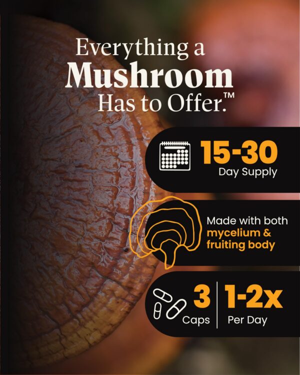 Cápsulas de hongo reishi rojo para apoyo inmunológico y salud