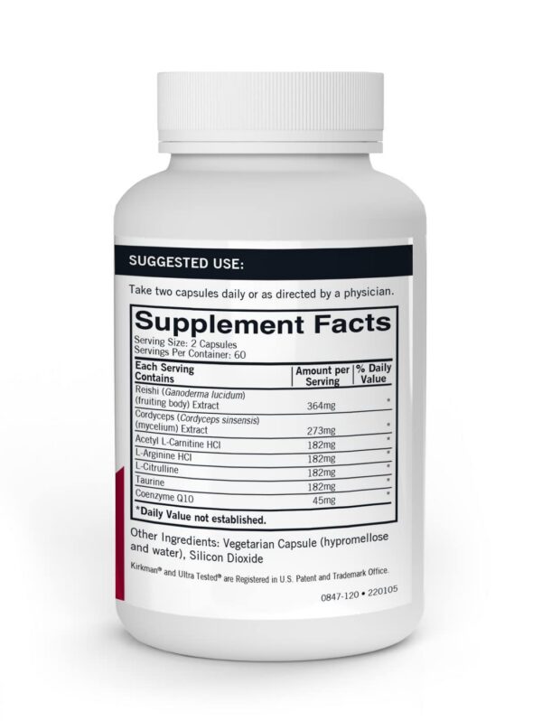 Cápsulas de hongos para energía sostenida