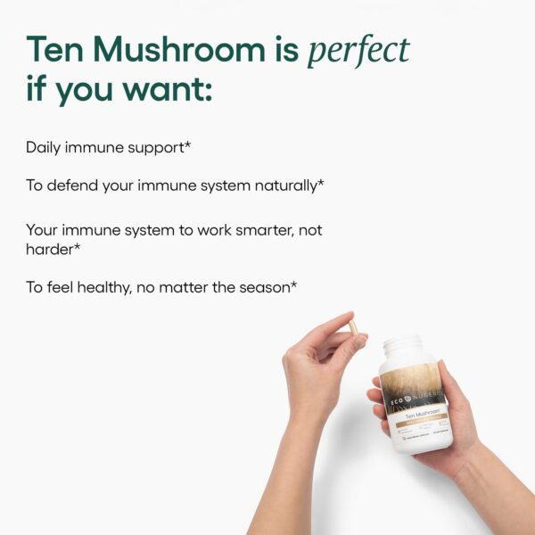 Version 1.0.0 Cápsulas hongos mixtos para salud integral EcoNugenics