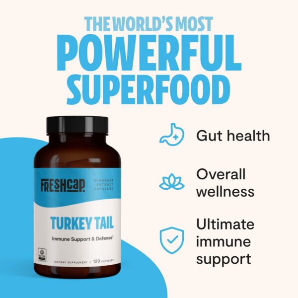 Suplemento de hongos para inmunidad y bienestar