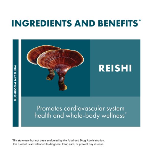 Suplemento Reishi para salud cardíaca y bienestar