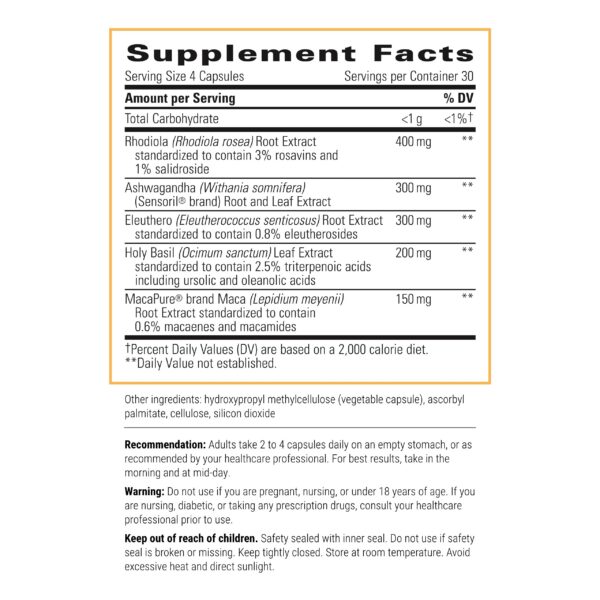 Cápsulas y componentes del bundle