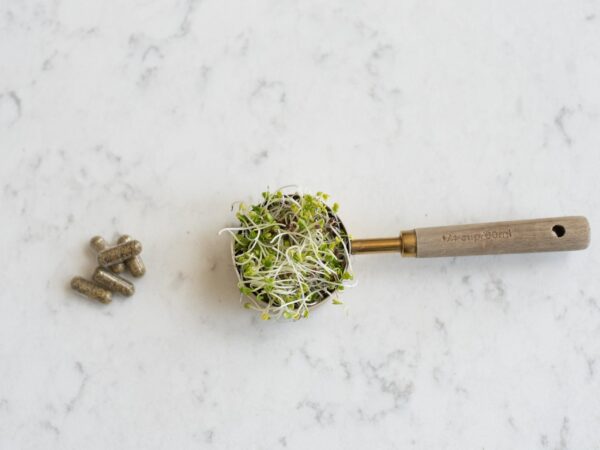 cápsulas koayah brotes de brócoli orgánico veganas suplemento salud