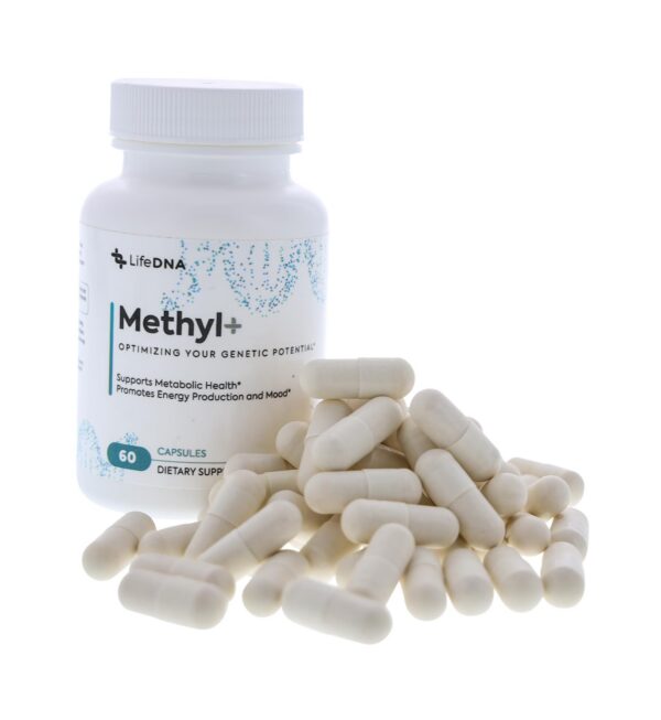 Version 1.0.0 Cápsulas LIFEDNA Methyl+ metilfolato TMG suplemento
