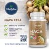 Cápsulas de maca Xtra 1000 mg
