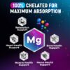 Cápsulas magnesio glicinato de alta biodisponibilidad