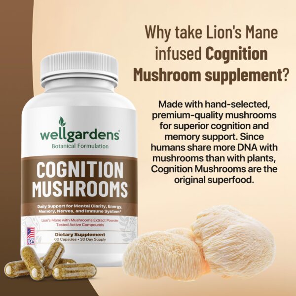 Cápsulas de melena de león para salud cognitiva