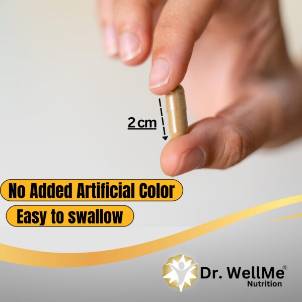 Cápsulas Melena de León sin gluten y sin OGM Dr.WellMe