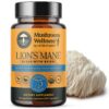Cápsulas de Mezcla de Melena de León con Reishi Mushroom Wellness