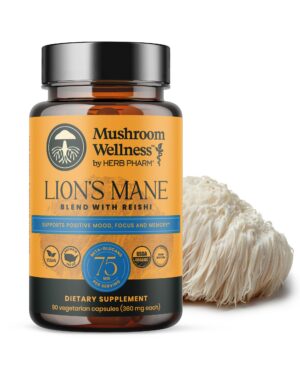 Cápsulas de Mezcla de Melena de León con Reishi Mushroom Wellness